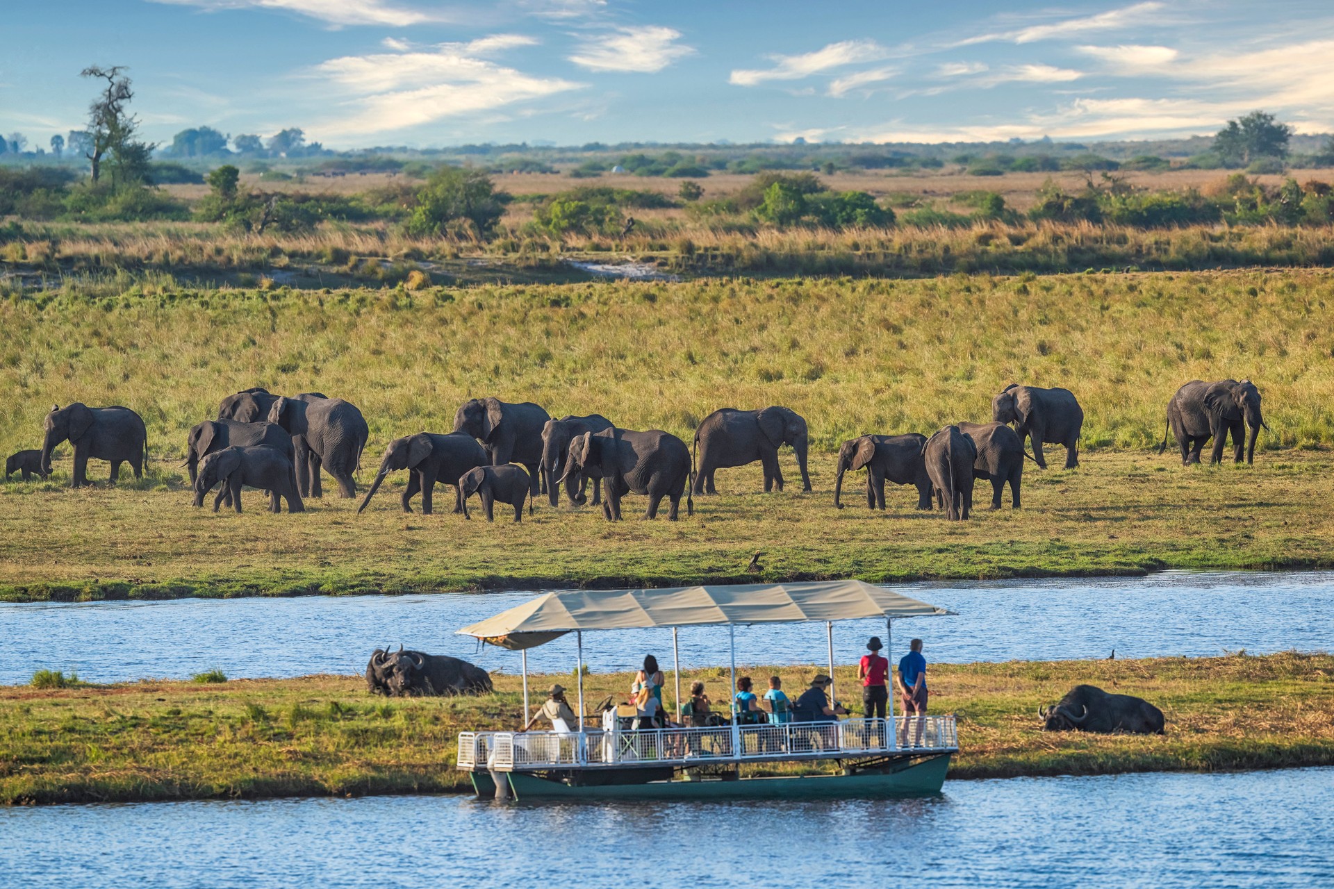 Safari tourists in a boat at watching a herd of Elephants, Chobe, Botswana