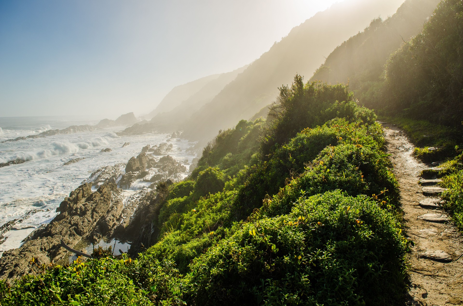 Tsitsikamma national park, Garden Route, South Africa